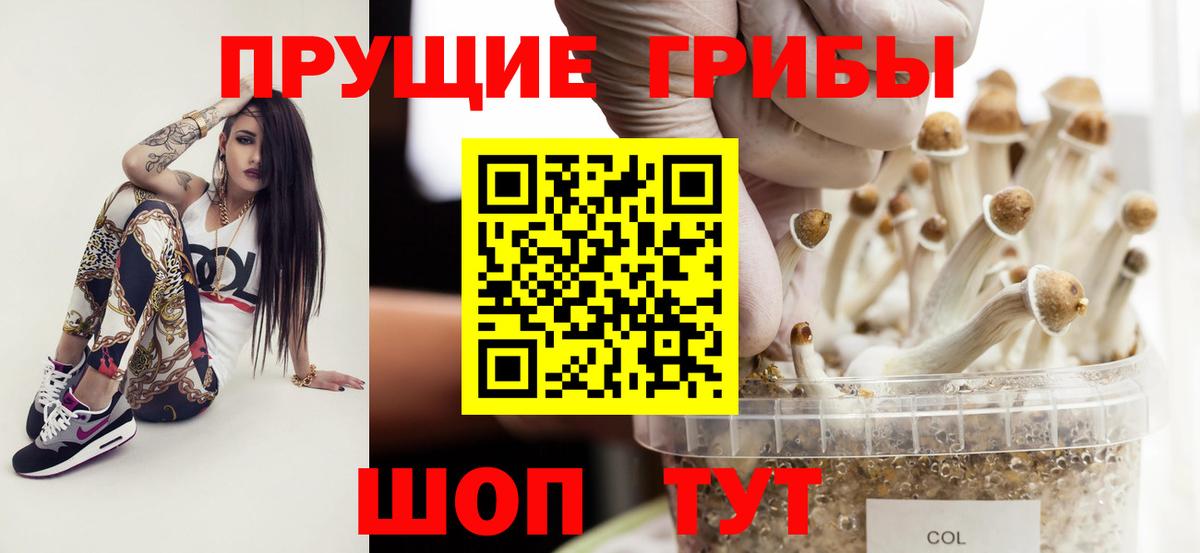 Псилоцибиновые грибы Cubensis Печора