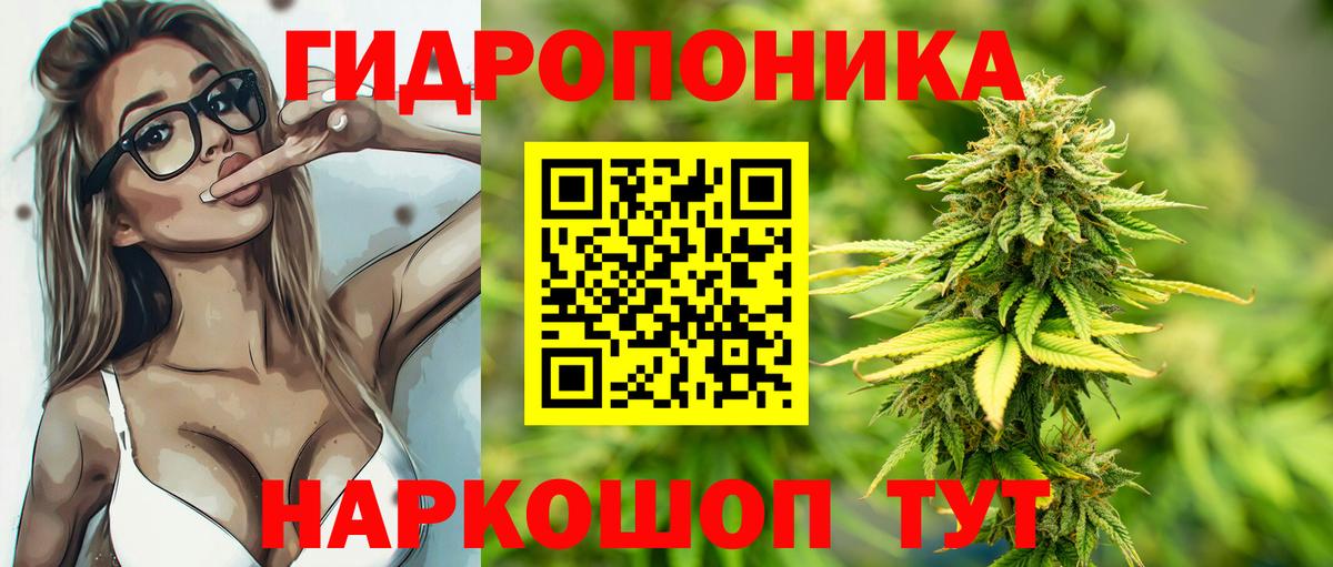 Конопля гибрид  Вход с VPN  Бошки Шишки AK-47  Канабис индика  Печора 